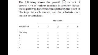 Biochemical Pathway Analysis part 2 [upl. by Lore533]