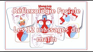 Réflexologie faciale  Les 12 massages du matin [upl. by Ynabla]