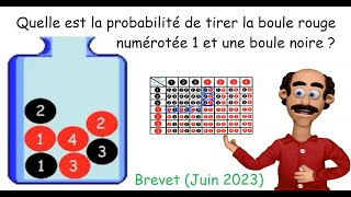 Calculs de probabilités pour des expériences aléatoires à une puis à deux épreuves tableau et arbre [upl. by Uriiah]