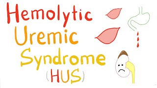 Hemolytic Uremic Syndrome HUS [upl. by Nyrol]