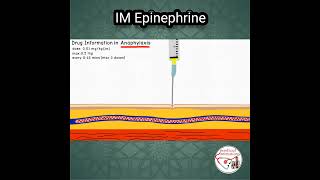 ADRENALINE Epinephrine DOSE in ANAPHYLAXIS pediatrics medicine epinephrine [upl. by Bohun]