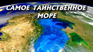 Какие тайны хранит Черное море [upl. by Neeliak503]