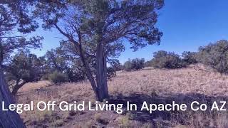 Legal Off Grid Living On This Tree Filled 463 Ac Lot IN Northern AZ Apache Co  SEE VIDEO [upl. by Heriberto685]