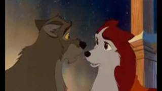 Balto 2 llevar a casa en español latino [upl. by Minnie306]