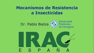 Mecanismos de resistencia a insecticidas [upl. by Ariajay876]