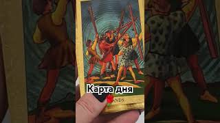 прогноз гаданиеонлайн tarot таро гадание таролог гаданиеонлайн [upl. by Alfonso]