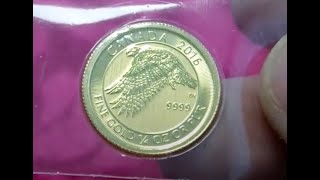 Stunning 14oz Gold Coin Score For the FGF2024 Fractional Gold Challenge gold [upl. by Aivin326]