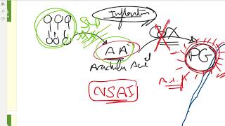 Gastrointestinal Block Pharmacology amp Pharmacy شرح بالعربى Drug Target [upl. by Egedan]