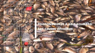 Poissons morts à AbiaKoumassi  les causes dévoilées [upl. by Shanly]