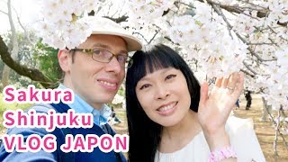 VLOG JAPON 26 SAKURA HANAMI Piquenique à Shinjuku gyoen le jardin impérial au 1500 cerisiers TOKYO [upl. by Levon392]