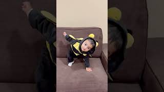 Bumble bee 🐝 shorts short halloween shortvideo shortsfeed [upl. by Prud]