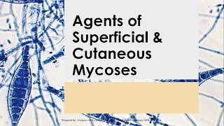 Basic Medical Mycology 02  SUPERFICIAL amp CUTANEOUS MYCOSES Mahon 7th ed [upl. by Yedarb]