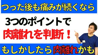 【つった後も痛みが残る方へ】こむら返り後も痛いなら肉離れかも？【整骨院の先生が伝授】 [upl. by Jerrome75]