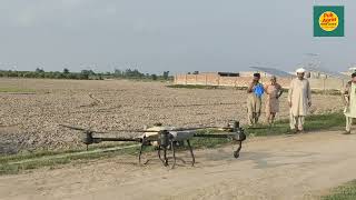 Drone spray in SugarcaneCoragen spray against borers Pak Agrin [upl. by Ymiaj]