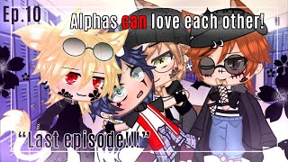 Alphas can love each otherEp10Read description firstLast EpGacha clubserieBL [upl. by Tripp50]