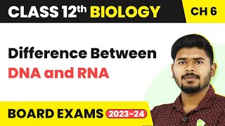 Difference Between DNA and RNA  Class 12 Biology 202223 [upl. by Fredenburg]