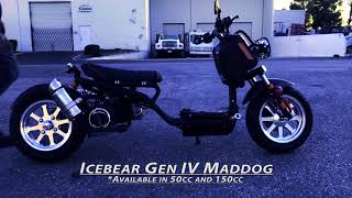 Icebear GEN IV MADDOG 150cc Scooter PMZ15021 MEGAMOTORMADNESSCOM [upl. by Anitsihc]