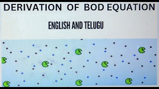 Derivation of BOD Equation [upl. by Aryhs]