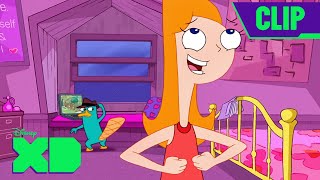 Norm the Robot 🤖  Phineas and Ferb  Full Scene  disneyxd​ [upl. by Atil63]