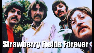 Strawberry Fields Forever backing track [upl. by Aknayirp]