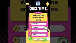 Animals Quiz quiz quiztime quizgames quizzes quizchallenge quizgame quizquestions quizz [upl. by Niko]