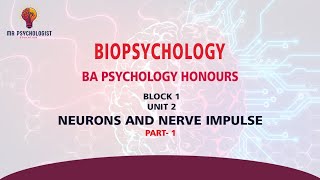 BPCC102 Biopsychology  UNIT  2 Neurons and Nerve Impulse  Part1 IGNOU MALAYALAM [upl. by Annairda]