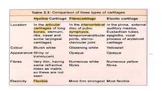 Anatomy 205 Hyaline Cartilage Location Nose MCQ Solved Question Paper [upl. by Miharba]