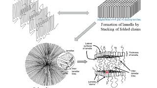 Polymer Crystallization [upl. by Delinda]