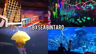 VLOG  BXSEA BINTARO [upl. by Nagrom]