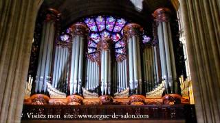 JS Bach  Toccata and fuga in d minor at Notre Dame de Paris Best Version Ever [upl. by Radmilla]