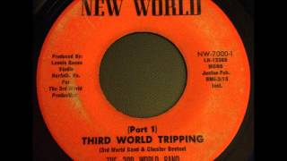 the 3rd world band  third world tripping part 1 virginia funk 45 on new world [upl. by Lasonde]