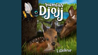 Lillebror [upl. by Tray]