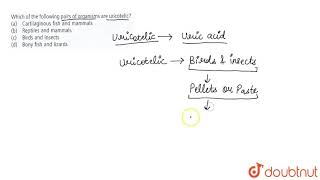 Which of the following pairs of organisms are uricotelic [upl. by Mosa]