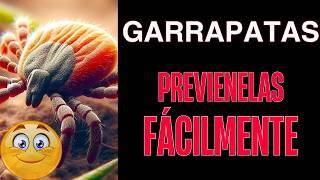 ✅¡ No lo creerás GARRAPATAS EN PERROS Tratamiento más efectivo y Prevencióncuidammostumascota [upl. by Bette531]