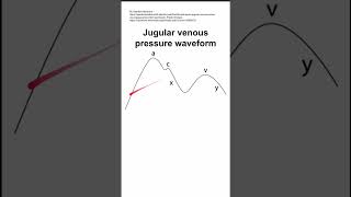 Jugular venous pressure waveform [upl. by Enyleve]