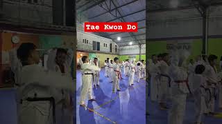 Warming Up taekwondokicks taegeuk taekwondotechniques taekwondokorea kukkiwon reels faktaunik [upl. by Inajar105]