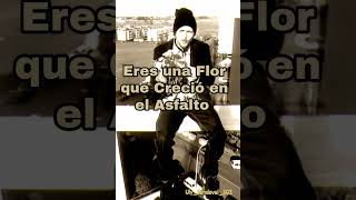 JOVANOTTI  Serenata Rap 1994 [upl. by Esinev]