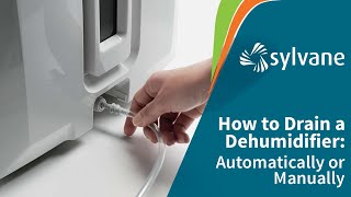 How to Drain a Dehumidifier Automatically  Sylvane [upl. by Gotcher]