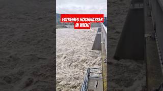 Extremes Hochwasser am 14092024 in Wien heavyrain unwetter viralvideo hochwasser foryou [upl. by Siriso]