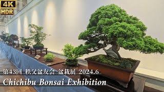 Chichibu Bonsai Exhibition in Japan in June 2024 第43回 秩父盆友会 盆栽展 4K HDR [upl. by Euqinue]