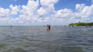 Holbox Mexico [upl. by Drolyag9]