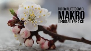 Tutorial Foto Makro dengan Lensa Kit [upl. by Julee795]