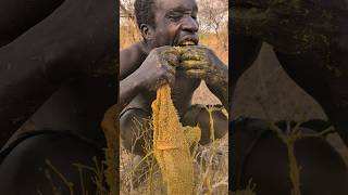 Hadzabe tribe breakfast Meal 😋 So Delicious 🔥hunters africa [upl. by Egon602]