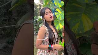 New Santali Vikas 2024  Santali Video 2024 Santali Video Song Santali Status Video 2024 shorts [upl. by Atsylak]