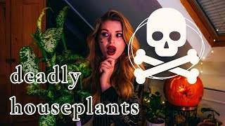 Houseplants That Kill The Poisonous Truth Behind Popular Indoor Plants [upl. by Entwistle]