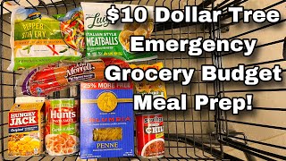 12 Meals for Just 10  Dollar Tree Emergency Grocery Budget Meal Prep [upl. by Nerek557]