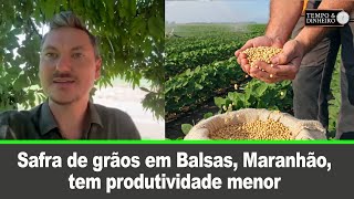 Safra de grãos em Balsas Maranhão tem produtividade pouco menor que a anterior [upl. by Nyltyak]