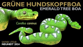 Safari Ltd ® Grüne Hundskopfboa  Grüner Hundskopfschlinger  Corallus caninus  Emerald Tree Boa [upl. by Heydon]