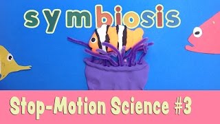 Whats Symbiosis Stopmotion animation science lesson for kids [upl. by Akirdnuhs]