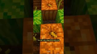 Thế Giới Minecraft Nhiễm Phóng Xạ Bất Ổn  Tập 50 🤣 shorts [upl. by Odlaw186]